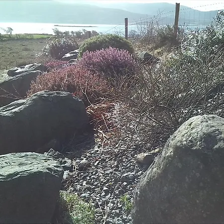 Currane Bed & Breakfast