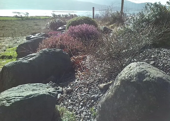 Currane Bed & Breakfast